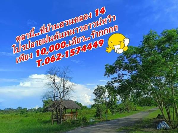 ฟาดอีกครั้งโปรปลายฝนต้นหนาวดาวน์เบาหวิว T.062-1574449 ที่ดินบ้านสวนคลอง14